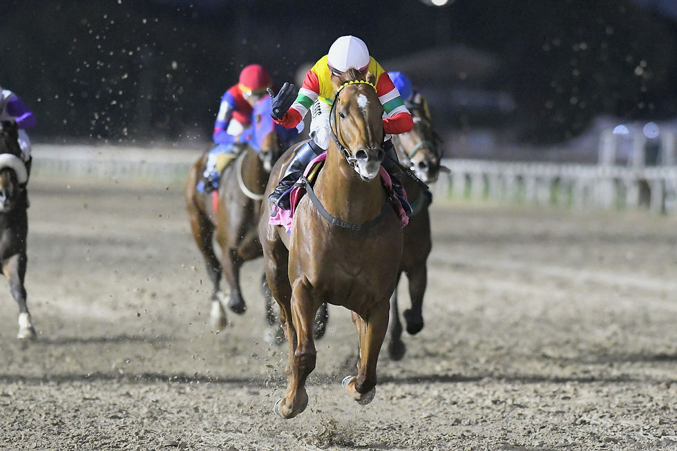 e Cornette Bolted to the Lead and Controlled the Race / JUAN I. BOZZELLO