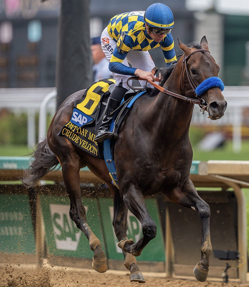 Crude Velocity says no to the Preakness and aims for the Woody Stephens Stakes