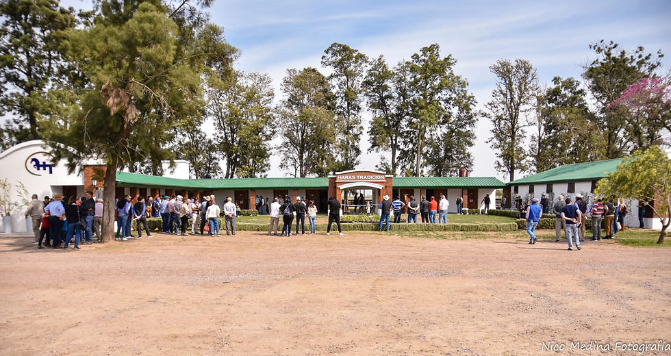 En Haras Tradición, más de 500 personas fueron parte de la fiesta / TRADICIÓN