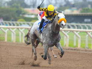 Con 2 extra clasificados, el Latino tendrá 15 participantes