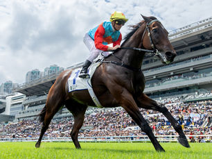 Ka Ying Rising rompe otra barrera y es el mejor caballo del mundo