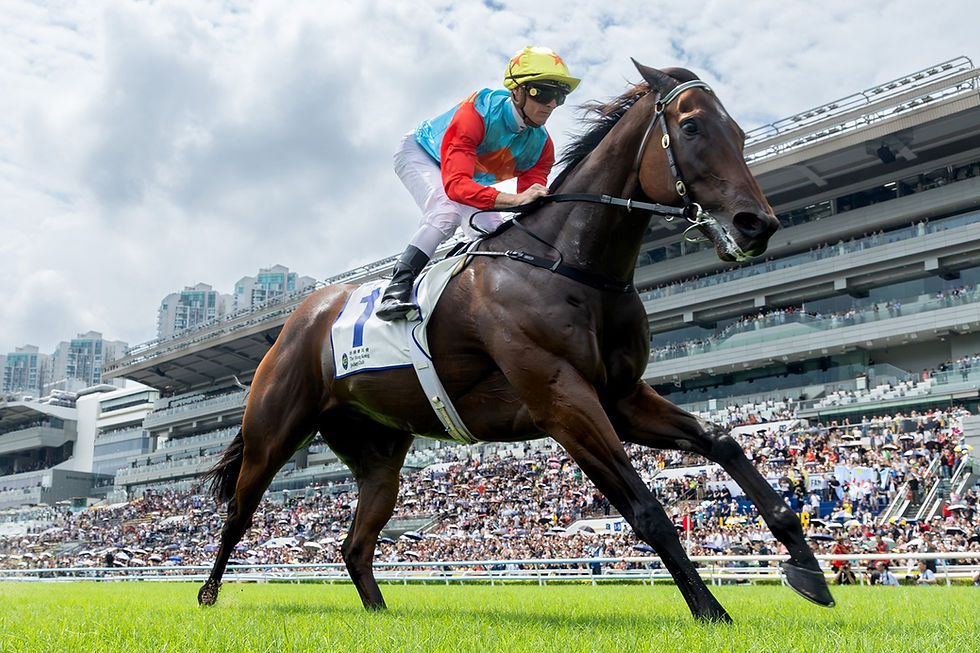 Ka Ying Rising rompe otra barrera y es el mejor caballo del mundo
