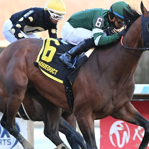 Iron Honor confirmó su proyección en el Gotham y ya mira al Wood Memorial