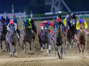 Oasis Boy quedó a nada de la victoria en el Burj Nahar de Meydan