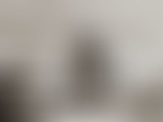 Stuttgart, y el secreto equino detrás de los logos emblemáticos de Porsche y Ferrari