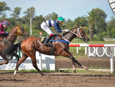 Arrosto Shows Grit in Securing a Special Milestone