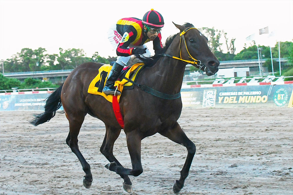 Lissette Island remató con plena potencia / JUAN I. BOZZELLO