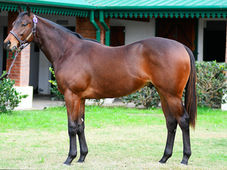 Comparsa Rusa tops Haras Tradición sale