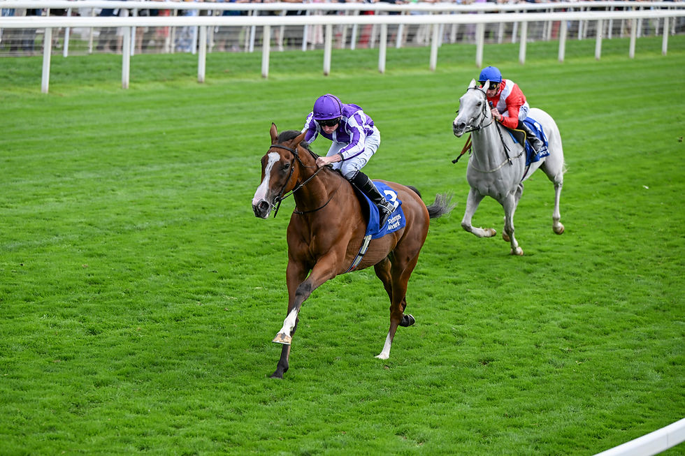 Minnie Hauk ya ganó 4 Oaks esta temporada / YORK RACECOURSE
