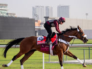 La millonaria Dubai World Cup no se rinde ante la guerra en el Golfo