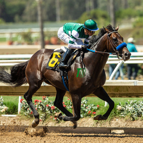 Full Serrano and The Goat Carry South American Hopes into the San Diego Handicap