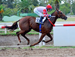 ¿La tercera será la vencida para el Clásico Luis María Doyhenard?