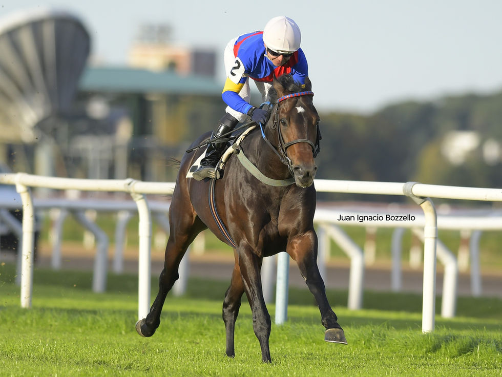 La vuelta de Vundu, la gran atracción de la tarde de viernes sobre el césped
