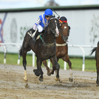 El Gazpacho está un pasito adelante en la previa del Clásico Jockey Club de Venezuela