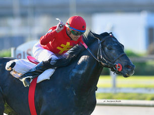 A competitive Anchorena that will feature Lanfranco Dettori as one of its main players
