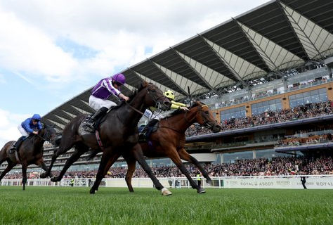 O'Brien Dismissed Team Tactics Accusations Following St James's Palace Stakes Controversy