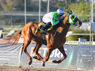 Gladiador Stone y Neón Boy fueron contundentes en los especiales