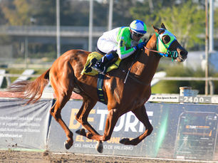 Gladiador Stone y Neón Boy fueron contundentes en los especiales