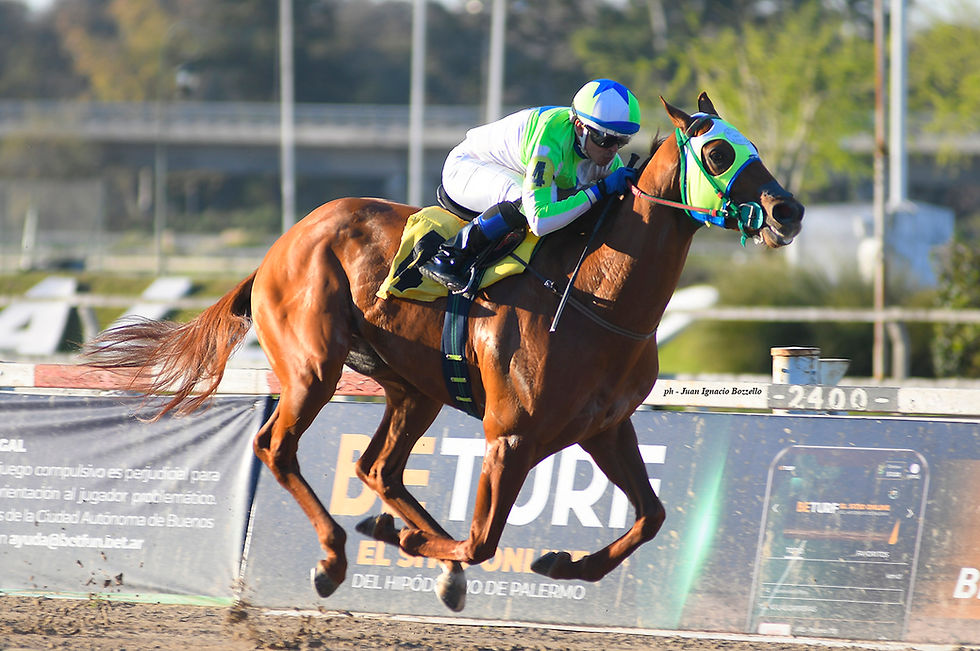 Neón Boy lleva 2 de 2 en la arena de Palermo / JUAN I. BOZZELLO