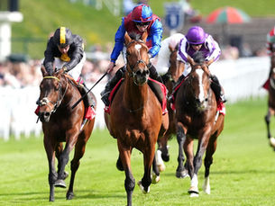 The hegemony of Ballydoyle in Chester seems to have no expiration date
