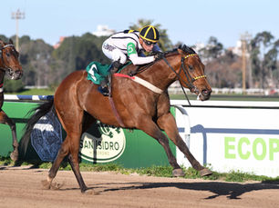 Say It Fast recuperó su mejor perfil y se quedó fácilmente con el Clásico Refinado Tom