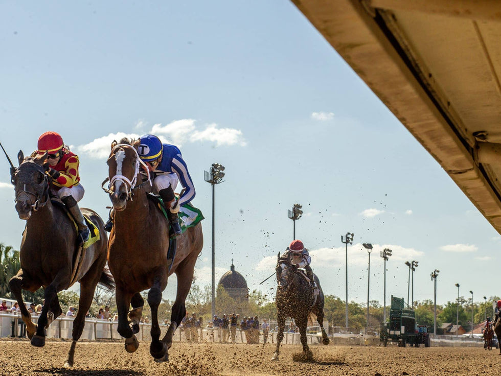 Our Moneyman buscará dar el gran salto en un Indiana Derby abierto y sin Desert Gate