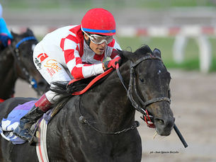 La Farce unleashed a stunning late rally to sweep past her rivals in the General Alvear