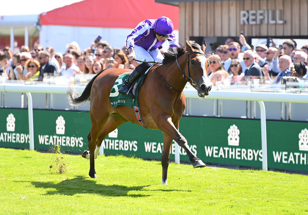 Minnie Hauk parece tener una carrera a su merced... / BREEDERS' CUP