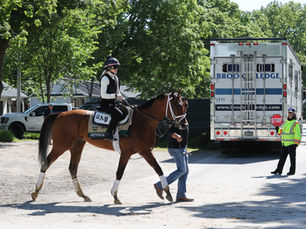 Commandment y Renegade chocan en un Jim Dandy con aroma a Travers