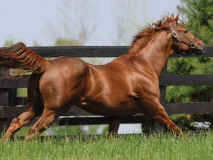 Distorted Humor: The Farewell to the Last Giant of a Golden Era