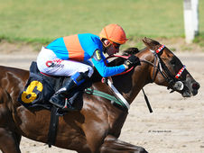 The Estrellas Junior Sprint Will Add Its Share of Excitement to the Estrellas Card