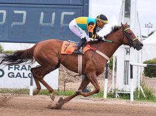 Victoria Bayern, in a solid run of form, continues to stack victories as stakes success appears within reach