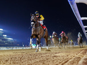 El match entre Tuz y Straight No Chaser en la Dubai Golden Shaheen, imperdible