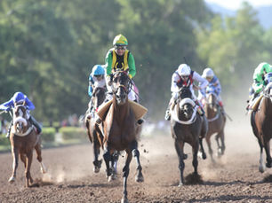 Code Breaker ganó el Vendimia y es el Rey del turf en Mendoza
