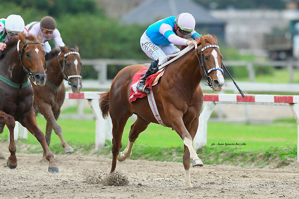 Drive Joy se quedó con otra edición del Clásico Perú, la carrera que nunca defrauda