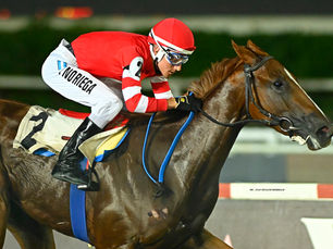 Costa Dark y Roman Garella van por los handicaps en un lunes de calor insoportable