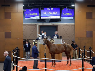 Another son of Flightline sent the market soaring after bringing US$2.1 million at auction