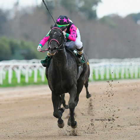 Creencia Espiritual Pulled Off an Upset in the Handicap Wally