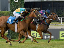 La Tasmania Keeps Climbing: Claims the Roberto Pellegatta for Her Fourth Consecutive Victory