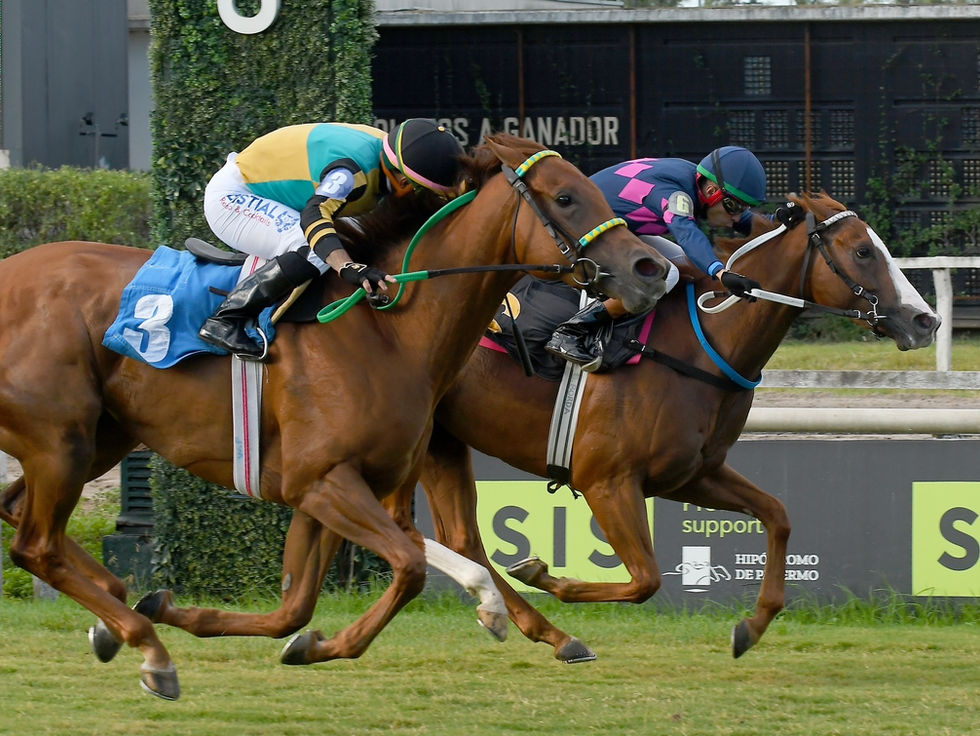 La Tasmania sigue creciendo: ganó el Roberto Pellegatta y ya lleva 4 triunfos consecutivos