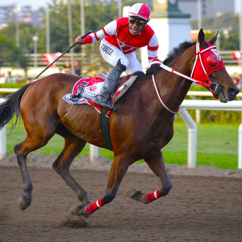 Monterrico Lived Its Great National Holiday Festival with Victories for Nader Alfonso and Del Real