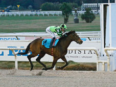 The Argentine-bred filly Sweet Feel scored a major classic breakthrough in Uruguay, capturing the prestigious Gran Premio Criterium Potrancas at Maroñas