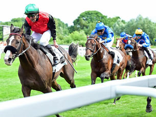 Dardanus dio el gran golpe y conquistó el Deutsches Derby a un dividendo de 84/1