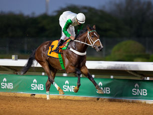 Al Musmak, el local que sueña con repetir la hazaña de Emblem Road