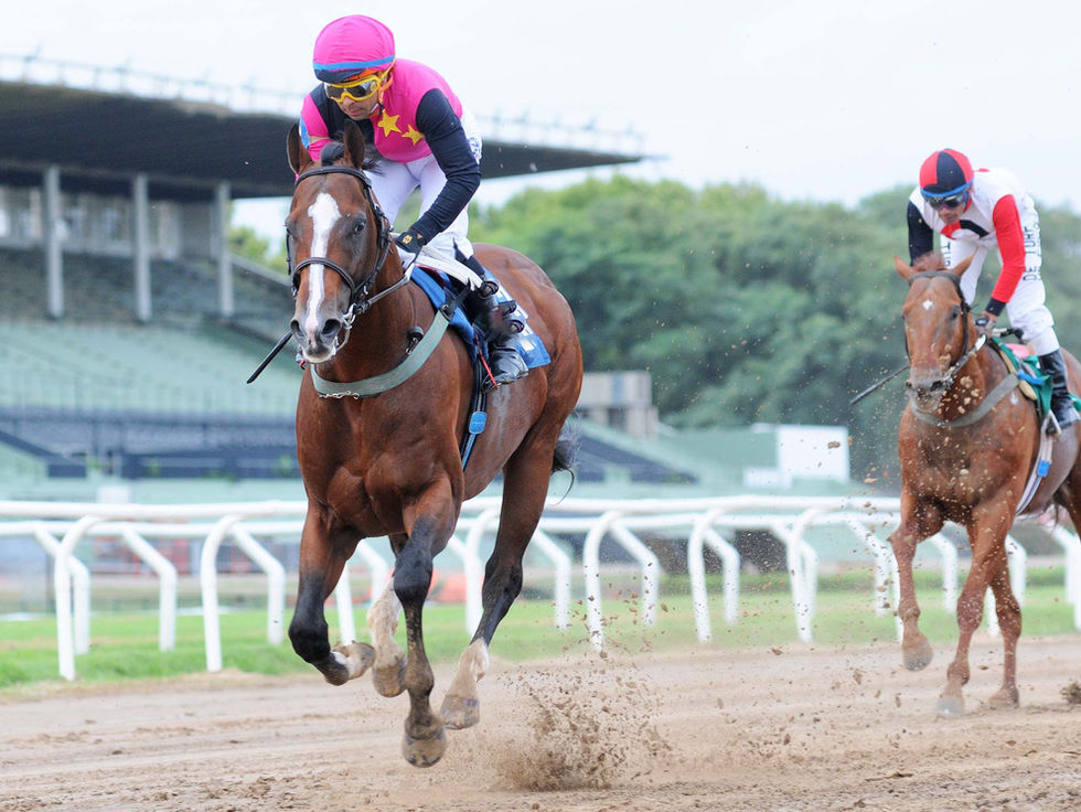 Buen Escoses y una victoria convincente y de proyección