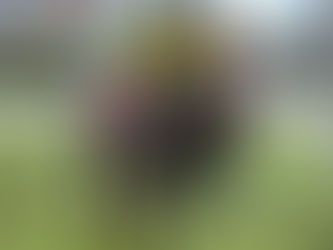 La argentina Sexy Star sigue sumando triunfos clásicos en Monterrico