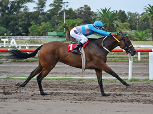 La Meninha hizo lo que tenía que hacer y galopó fácil en el Especial Argentaria