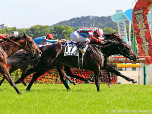 Lovcen conquistó el Derby Japonés y quedó a un paso de la Triple Corona
