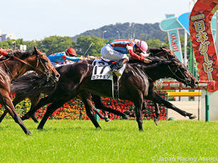 Lovcen conquistó el Derby Japonés y quedó a un paso de la Triple Corona