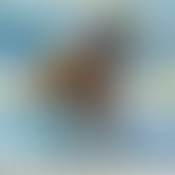 En Palermo, un sábado formidable y muchos clásicos para disfrutar